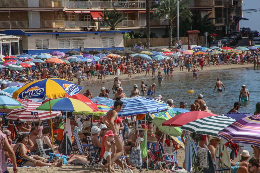 El buen tiempo y las buenas condiciones marítimas siguen animando a pasar la jornada en la playa pese a que desde hace tres semanas no hay servicio de socorrismo en Torrevieja