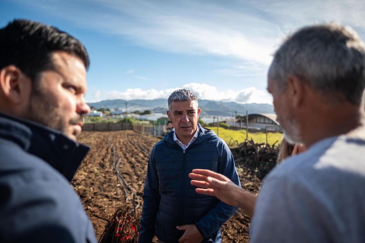 El consejero de Agricultura, Ganadería, Pesca y Soberanía Alimentaria del Gobierno de Canarias, Narvay Quintero, visita una finca en Los Baldíos, donde el Ejecutivo canario, en colaboración con viticultores de las Denominaciones de Origen Protegidas de Vino de las islas, desarrolla un proyecto piloto con patrones americanos de viña para evaluar su resistencia a la filoxera