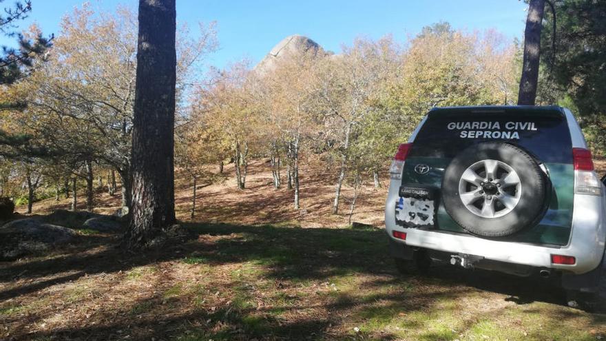 Un vehículo de la Guardia Civil, en la zona donde apareció el perro // GC