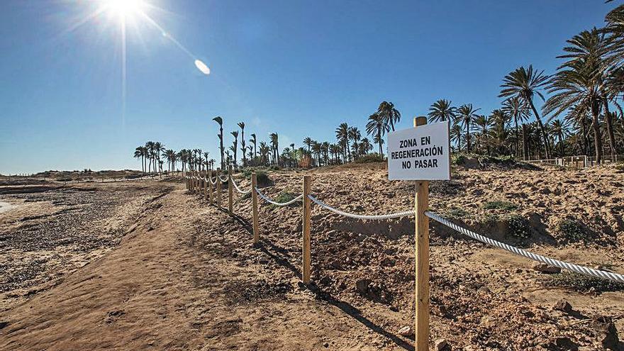 Protección de las dunas de la Cala Ferris de Torrevieja. | TONY SEVILLA
