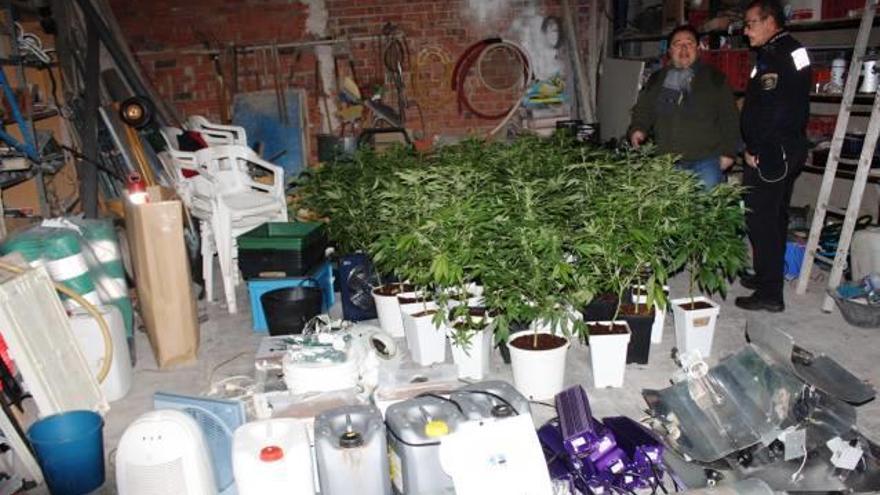 Detienen a una pareja en Turís y confiscan plantas de marihuana