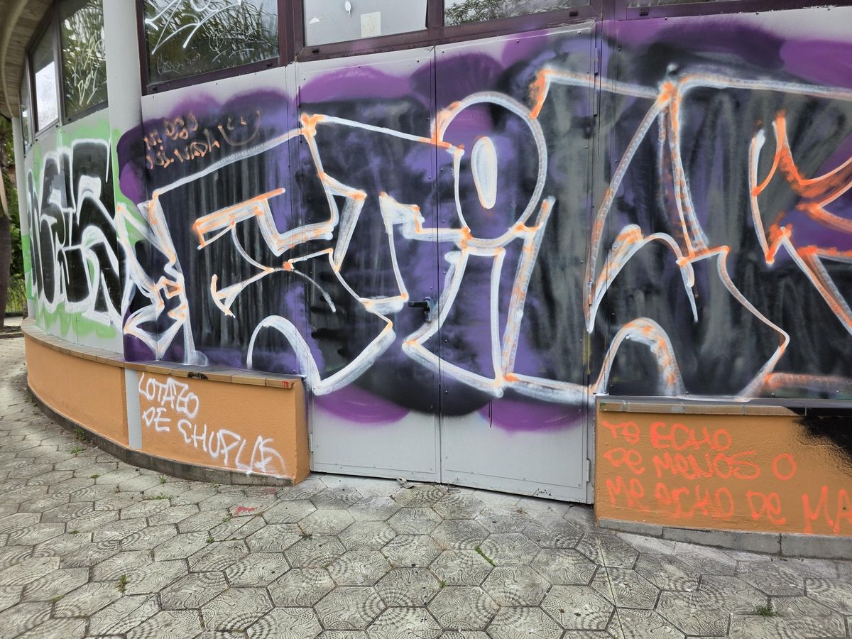 Grafitis en una pared de La Laguna.