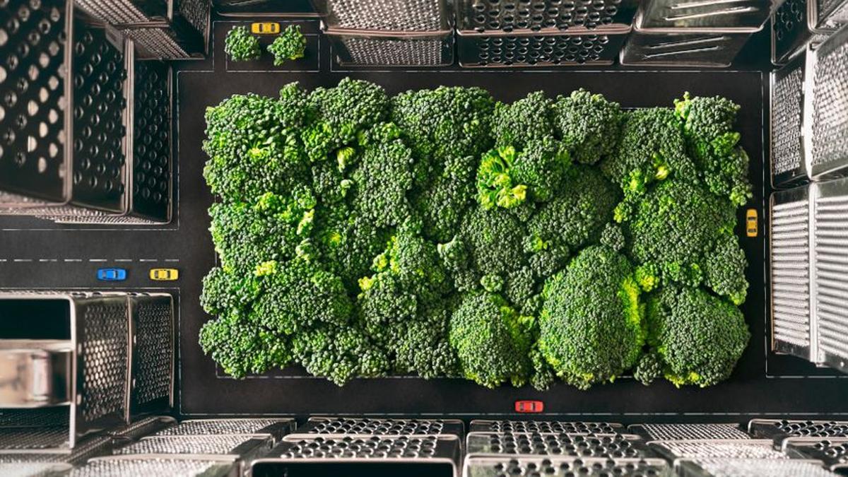 Esta imagen del búlgaro Yuliy Vasilev, titulada 'Central Park', ha ganado el Premio Fujifilm a la innovación.