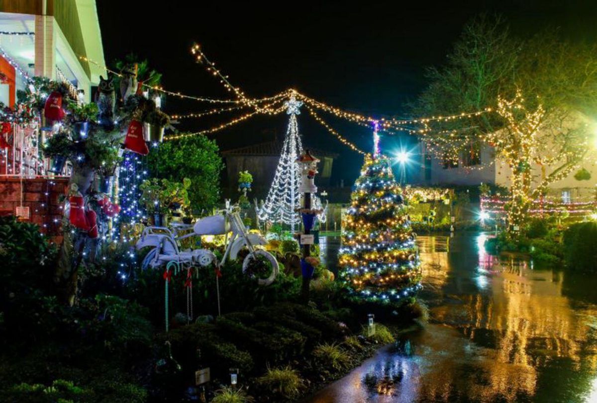 La Navidad brilla más que nunca en Molleda