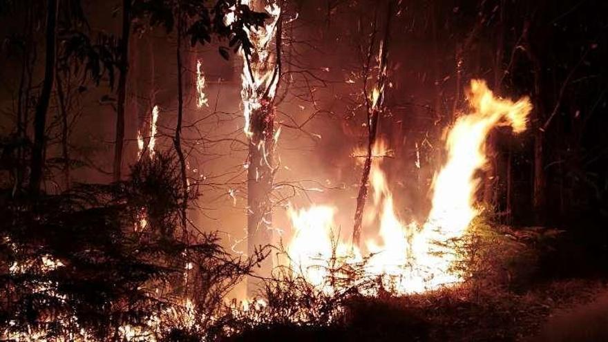 Imagen del incendio que se declaró en la noche del martes en un eucaliptal de Paramá. // José Manuel Baños