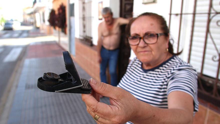 Campanillas, un barrio lleno de ratas