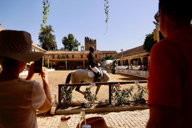 El concurso de Doma Clásica abre Cabalcor