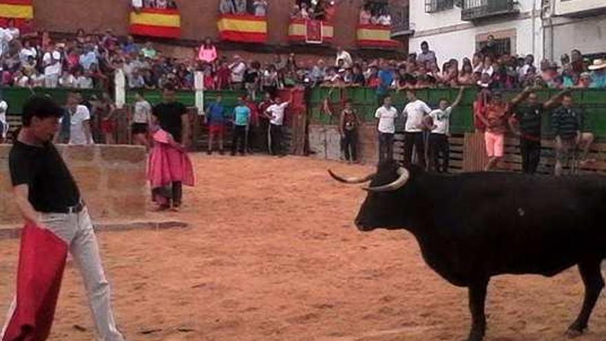 Las capeas: la otra cara del toreo - La Opinión de Málaga