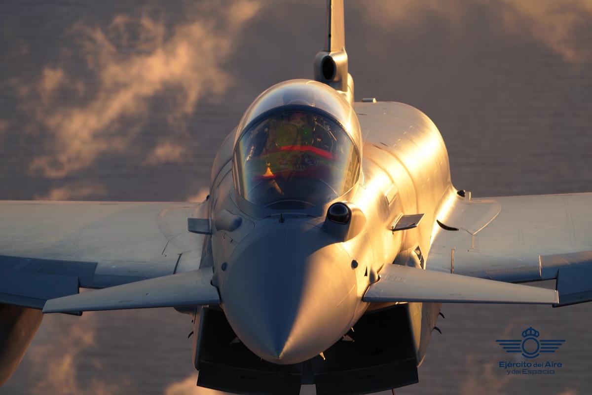 Un caza del Ejército del Aire.