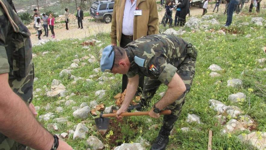 La Brilib XXII participa en tareas de reforestación