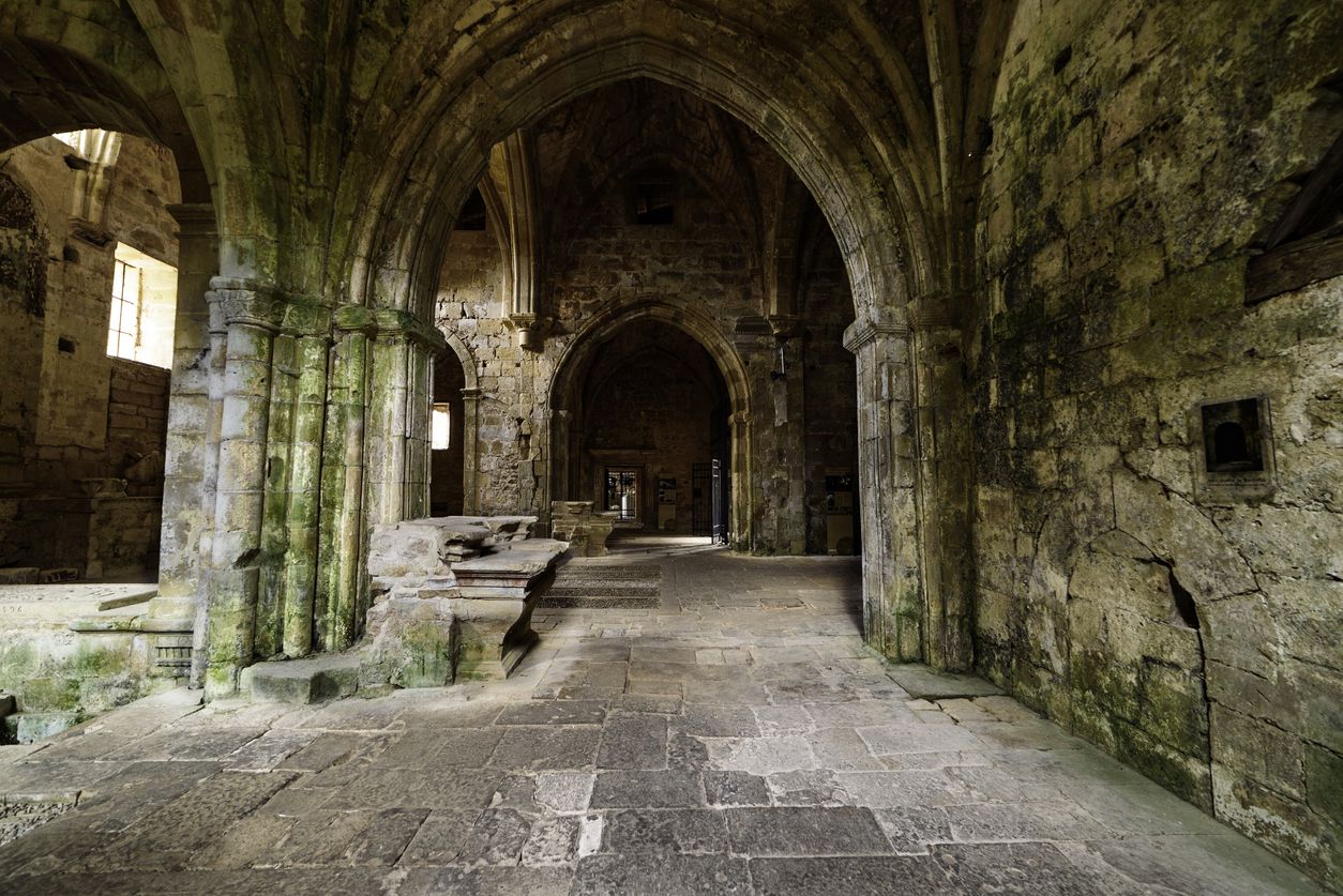 Hoy en día la asociación 'Salvar Rioseco' trabaja en la restauración del monasterio.