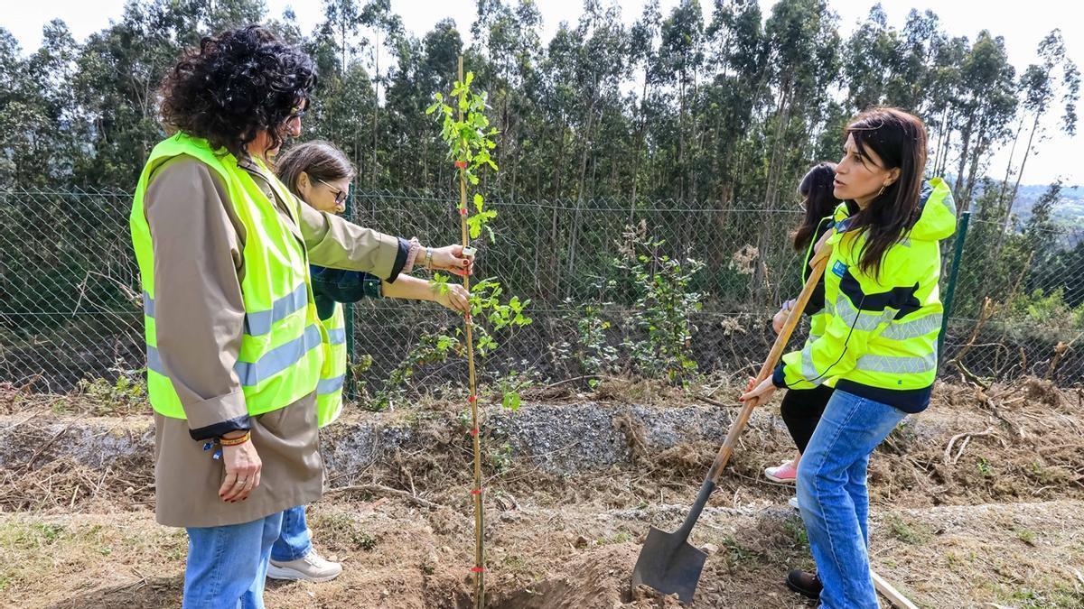 Por la derecha, la conselleira de Vivenda, en los trabajos de reforestación, en los que estuvo acompañada por la alcaldesa de Teo