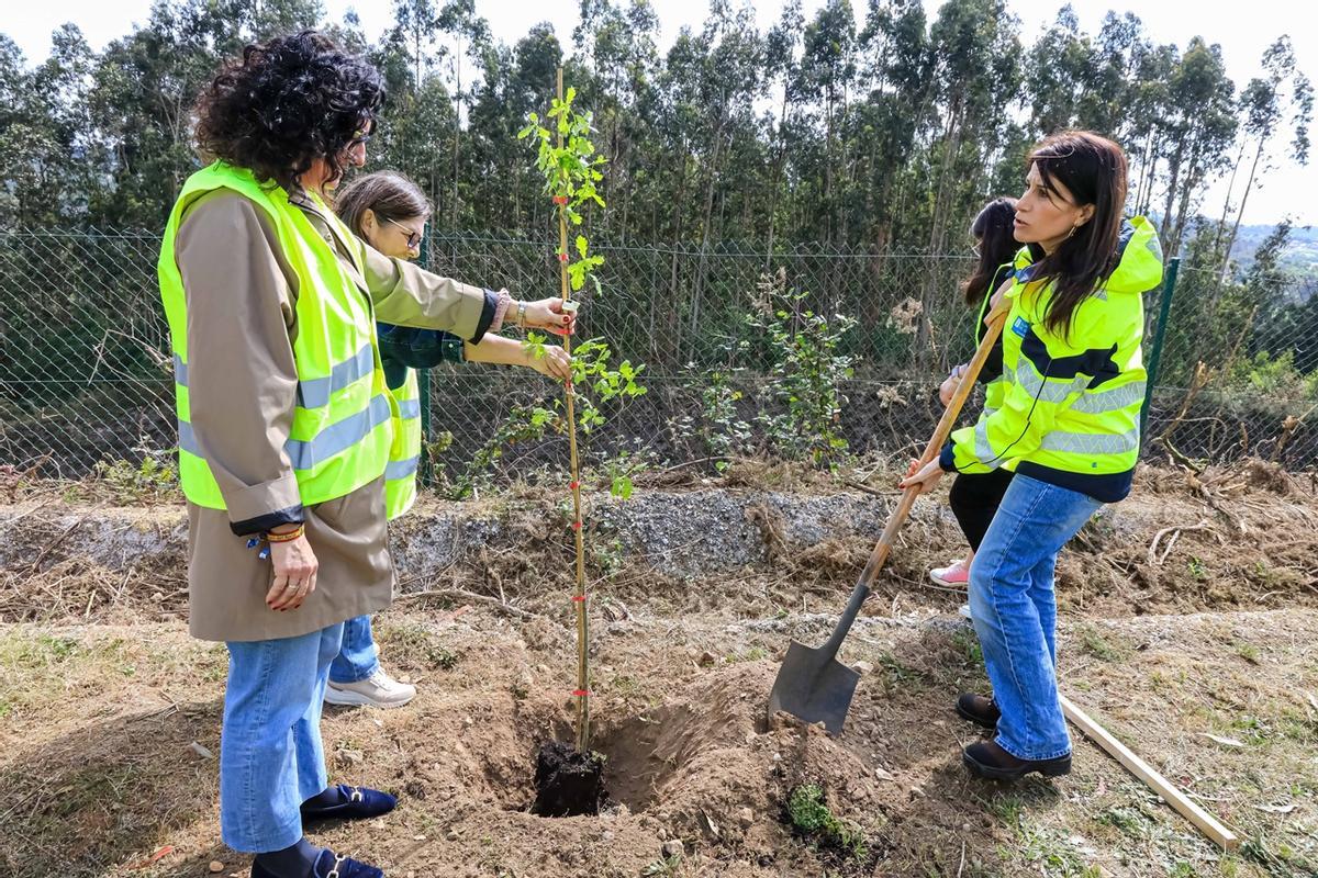 Por la derecha, la conselleira de Vivenda, en los trabajos de reforestación, en los que estuvo acompañada por la alcaldesa de Teo