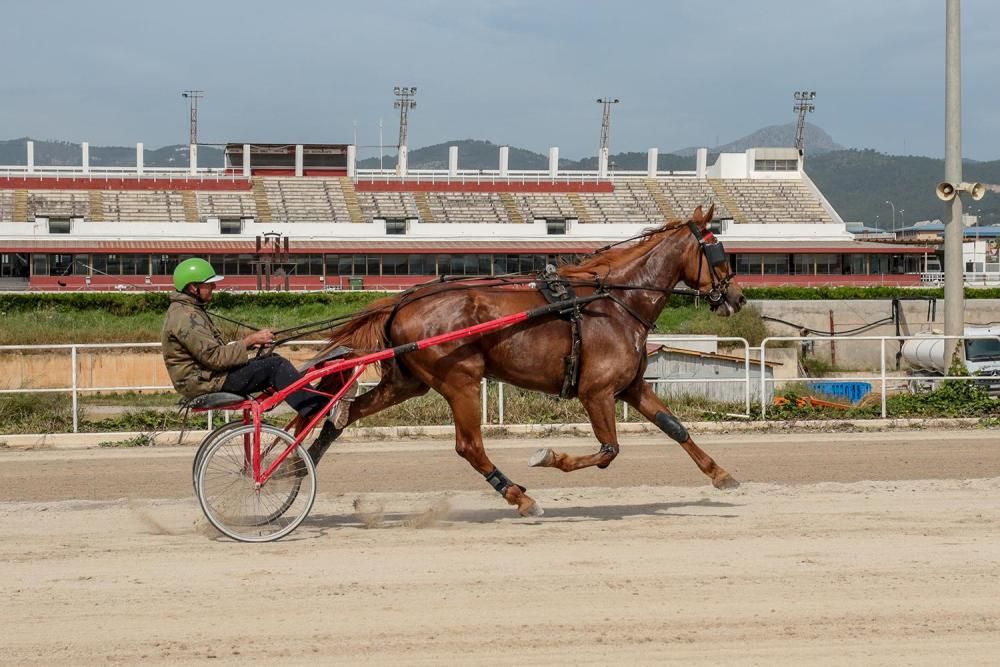 Miquel Durán, con Gitana Grandchamp en su entrenamiento matinal en Son Pardo