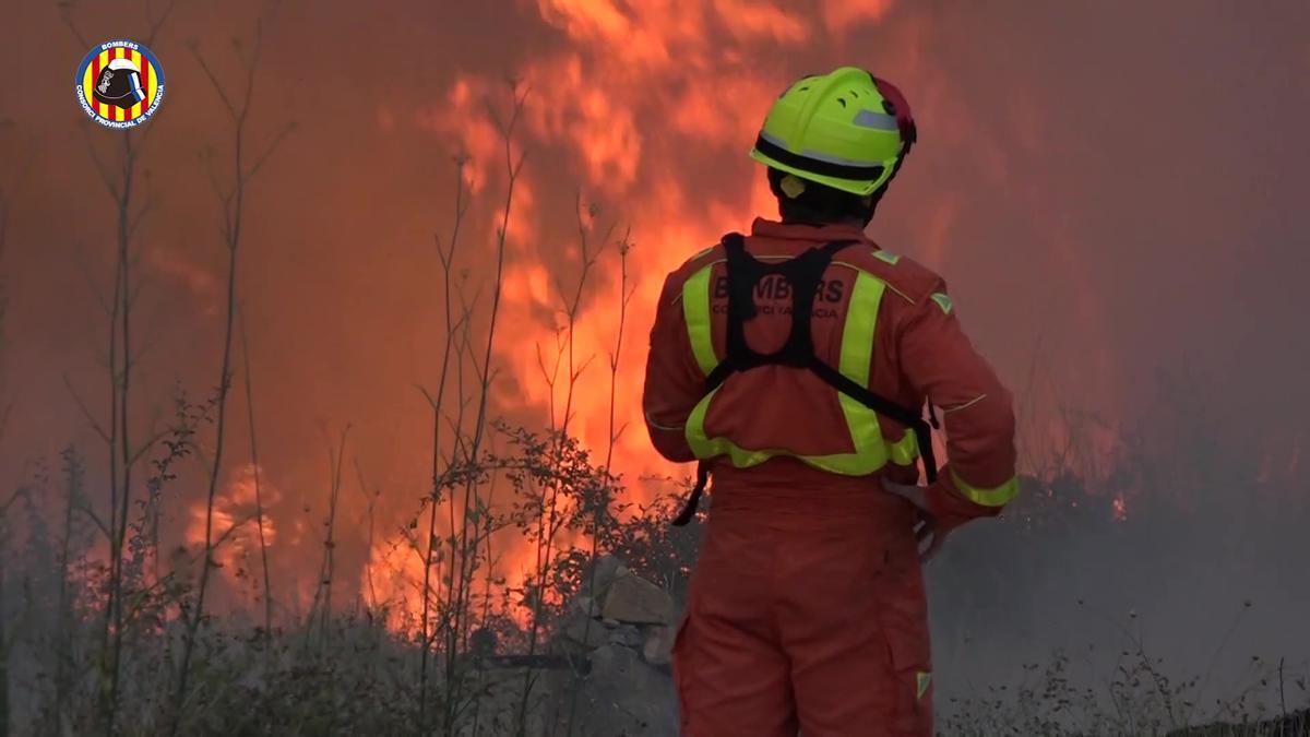 Bomberos y UME trabajan en la extinción del incendio forestal de Calles