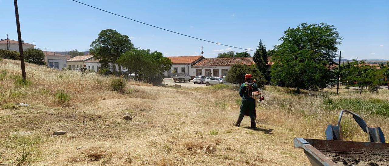 Operarios desbrozando en Plasencia para prevenir incendios.