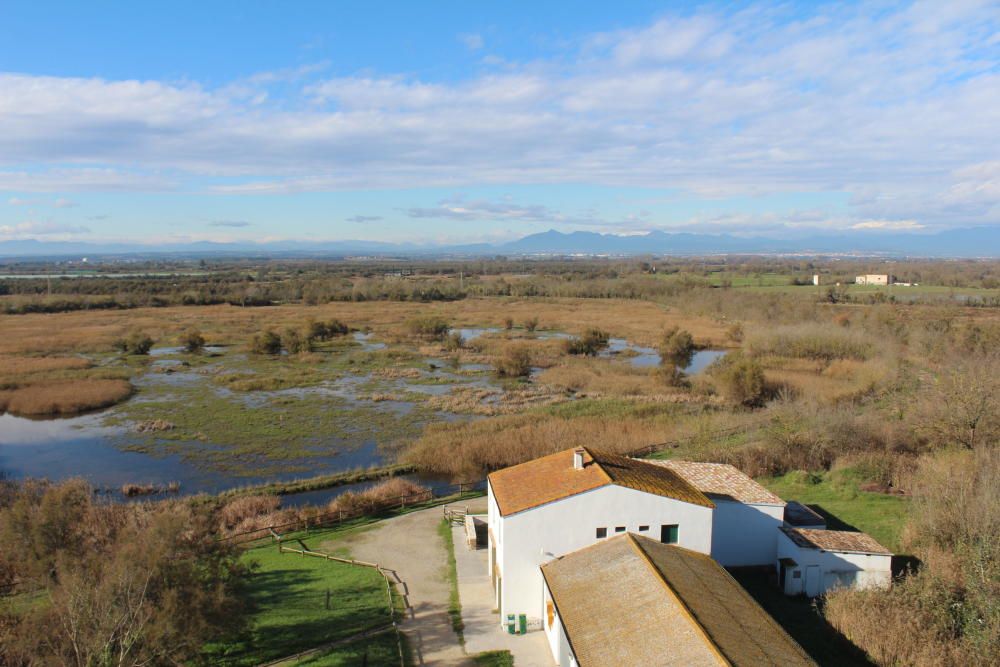 Els Aiguamolls de l''Empordà fan honor al seu nom