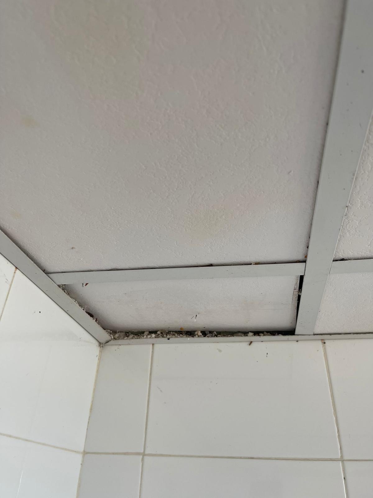 Aspecto del falso techo