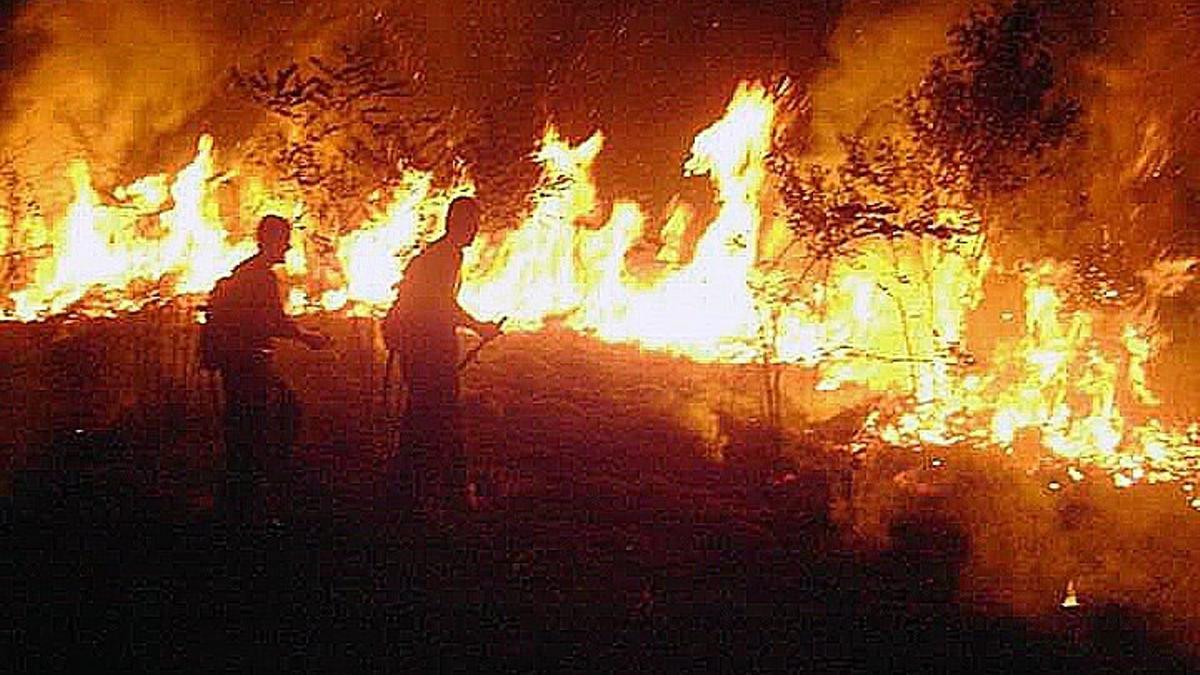 Bomberos combaten un incendio en el Amazonas (Brasil).