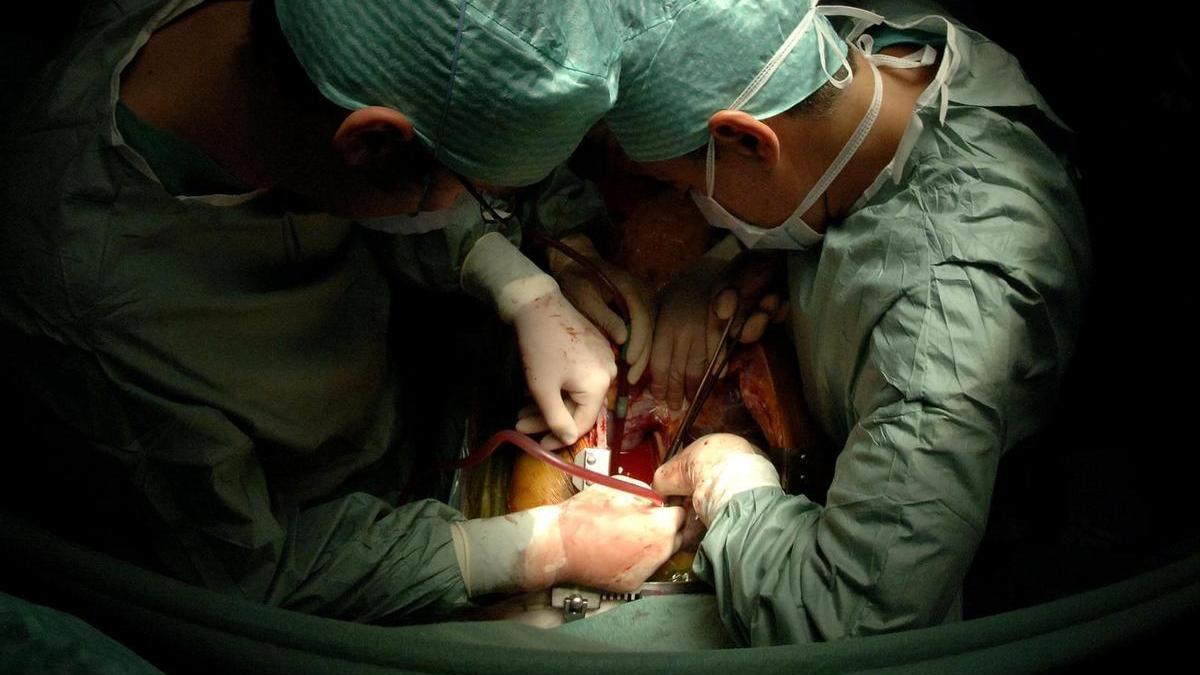 Médicos de Senegal y Georgia se formarán en trasplantes en el Chuac de A Coruña gracias a las becas Pepe Buitrón: «Es una oportunidad única» Médicos de Senegal y Georgia se formarán en trasplantes en el Chuac de A Coruña gracias a las becas Pepe Buitrón: «Es una oportunidad única»