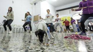 San Vicente organiza el primer taller con perros adiestrados con técnicas para mejorar la socialización entre personas mayores
