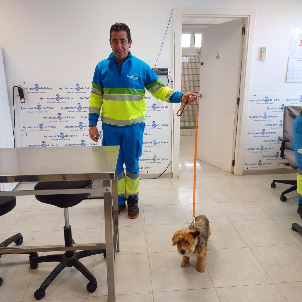 Rescatado un perro que esta mañana se había perdido