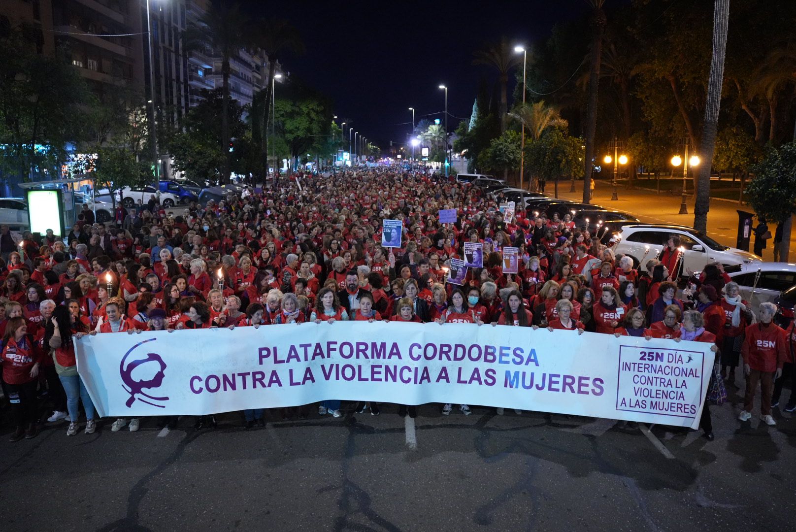 Manifestación por el 25N en Córdoba