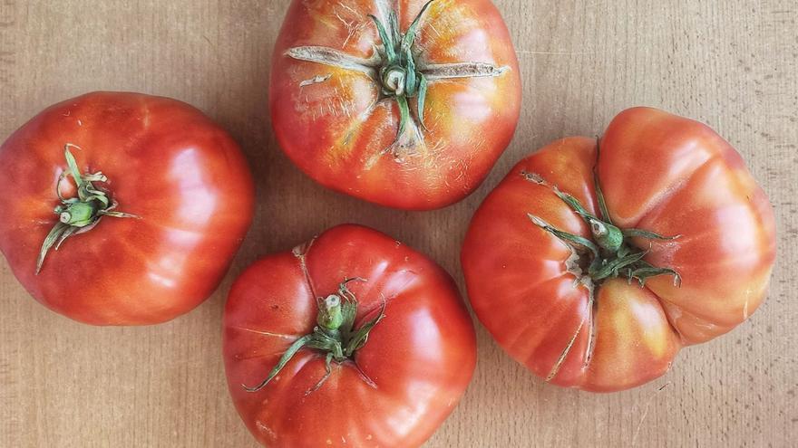 Huevo de toro,  el tomate que sabe a tomate