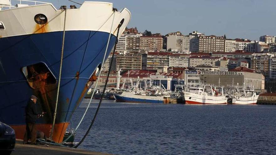 La flota de larga distancia amarrada en el puerto de Vigo el pasado mes de diciembre. // Ricardo Grobas