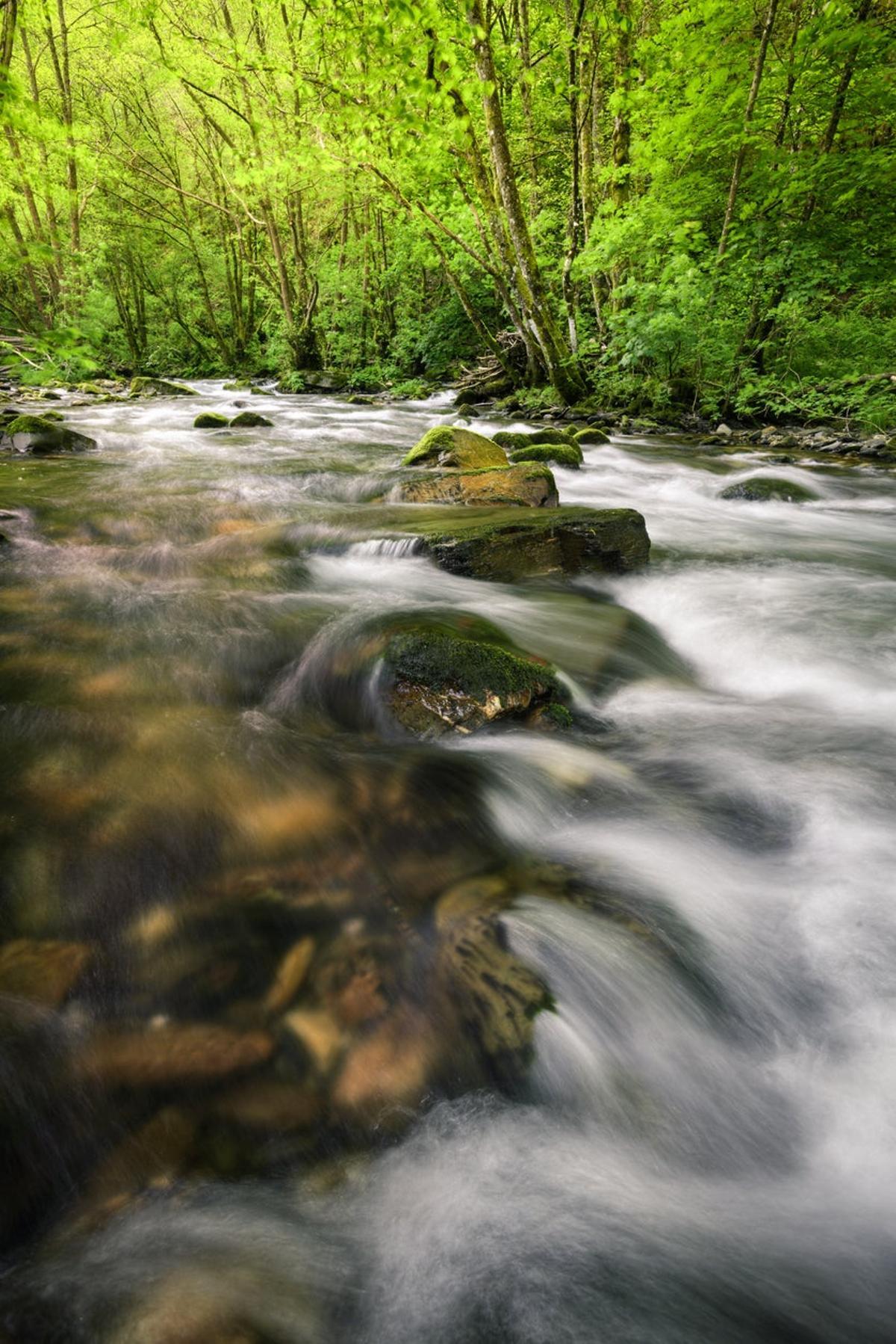 Las aguas del río Lor dan vida a los bosques de la sierra