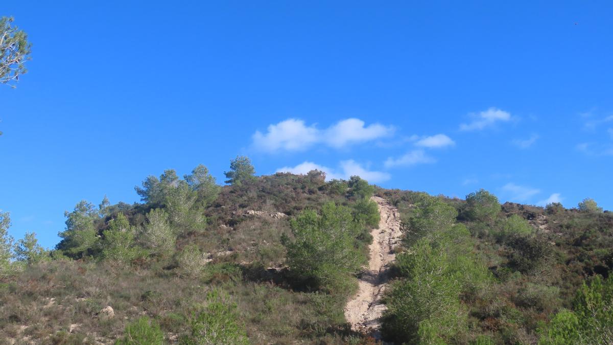 Terraferida denuncia un circuito de motocross en zona ANEI en Felanitx