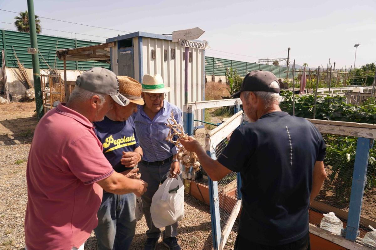 El trato diario ha convertido a los socios del huerto urbano Puerta de Málaga en una gran familia.