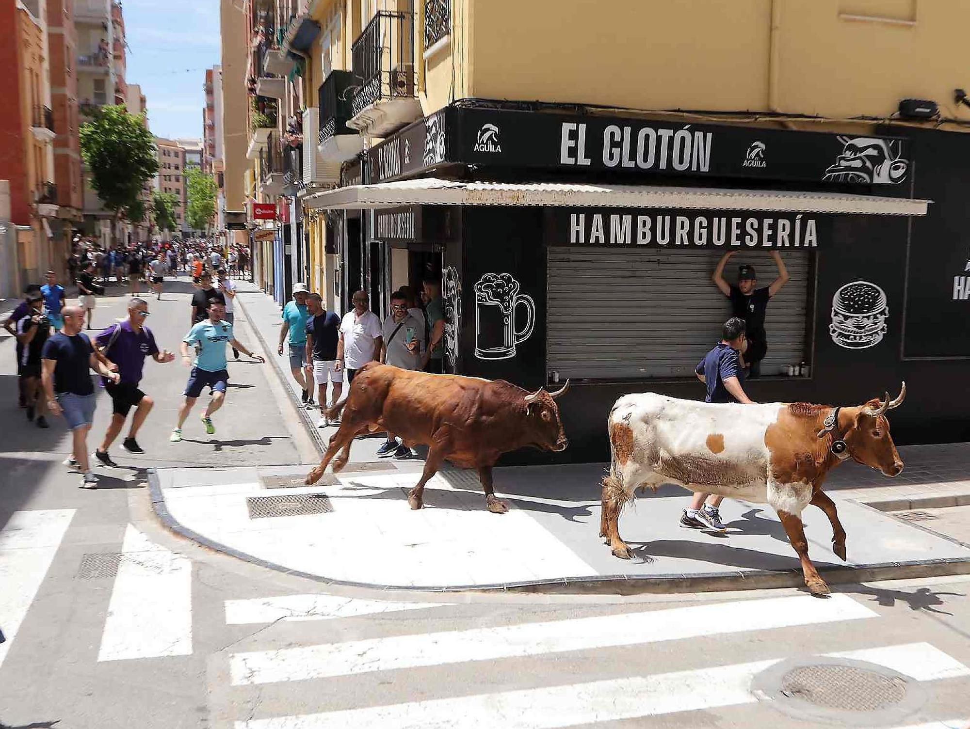 El Grau da inicio a las fiestas de Sant Pere con pólvora, bous y música