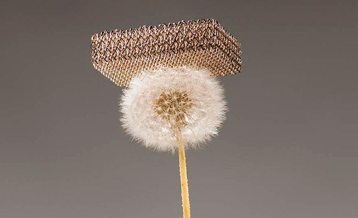 Un nou metall desenvolupat per investigadors de la Universitat de Califòrnia, els laboratoris HRL i l’Institut de Tecnologia de Califòrnia descansa sobre una dent de lleó. És el material més lleuger del món, segons els seus creadors.