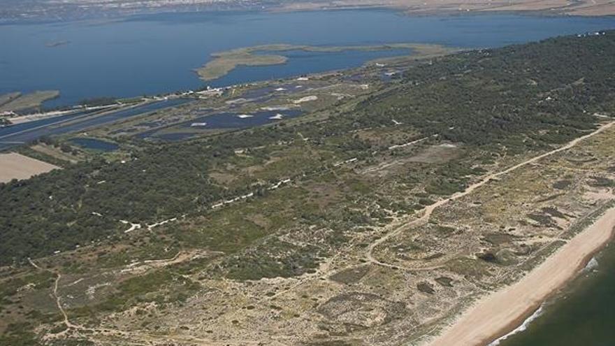 L&#039;Albufera