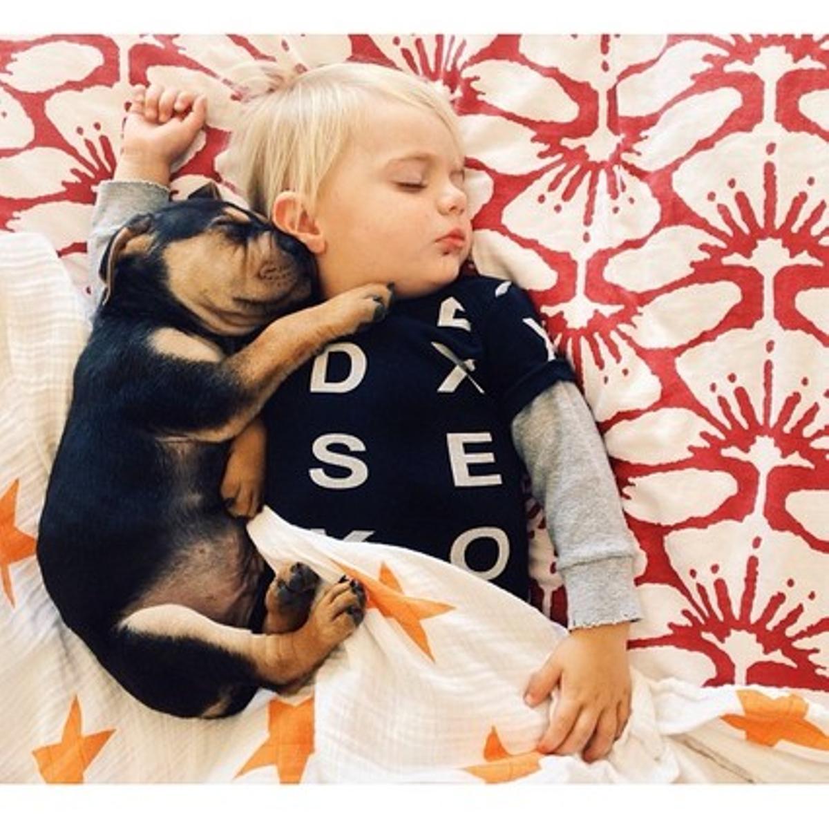 Beau, durmiendo junto a su perro, Theo