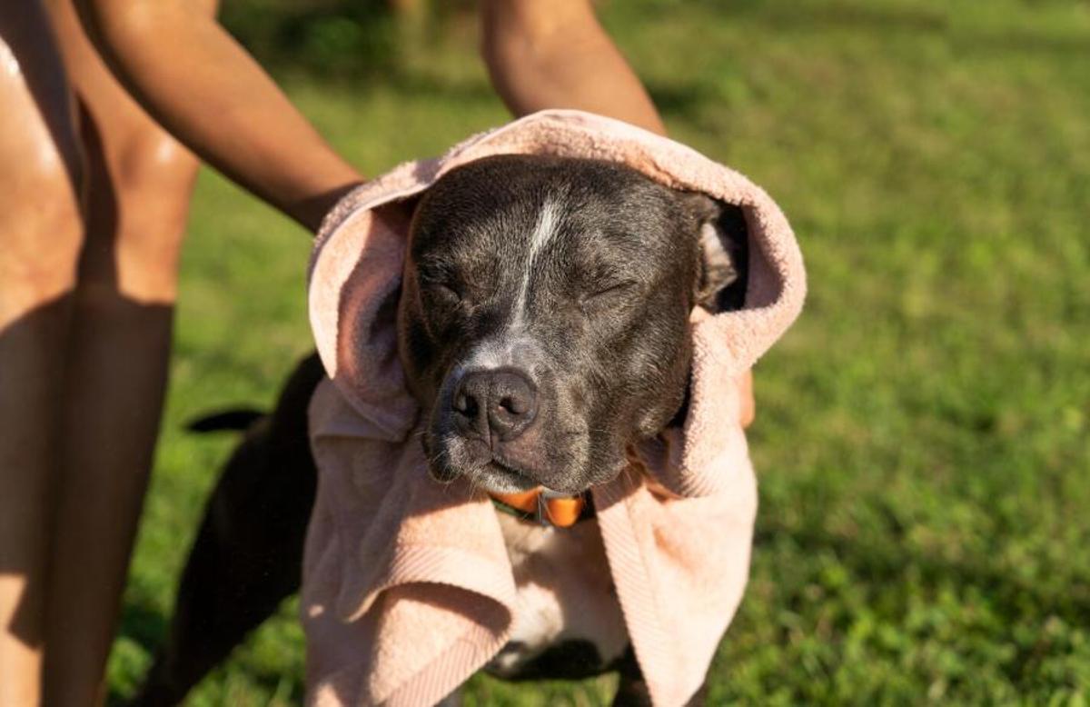 Què fer davant un cop de calor?