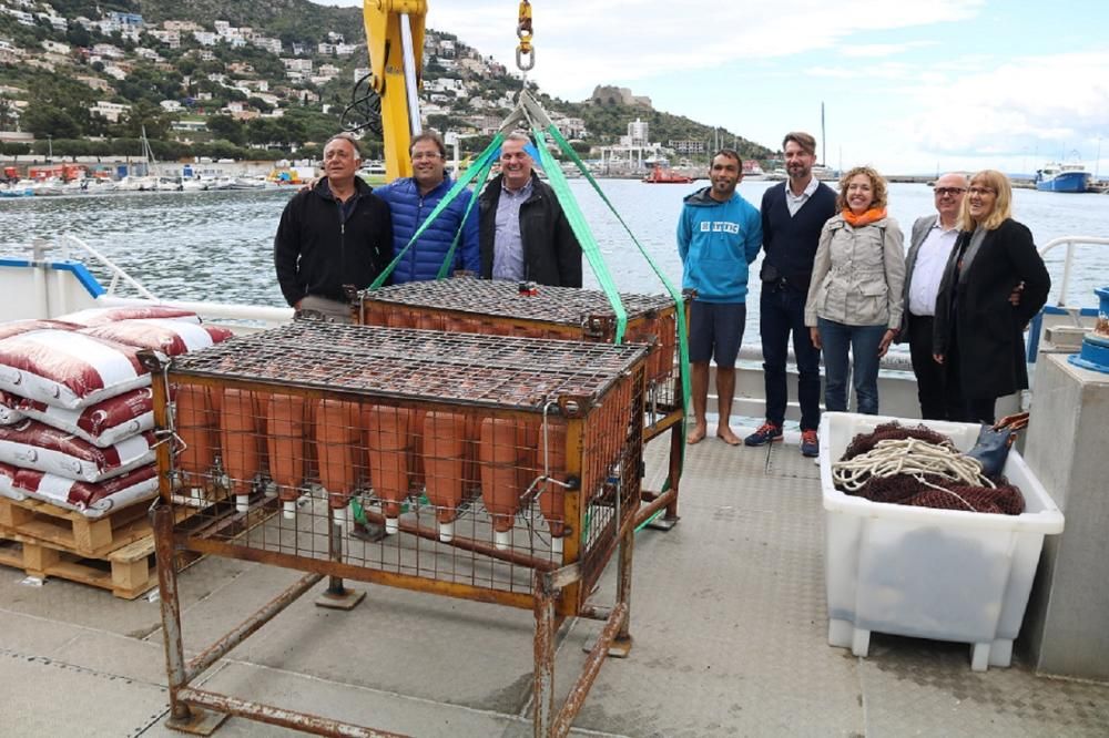 Moment en què es procedeix a submergir una de les gàbies amb ampolles de vi a Roses