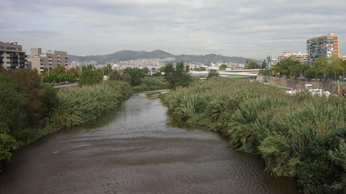 La ribera del río Besòs, a su paso por Santa Adrià