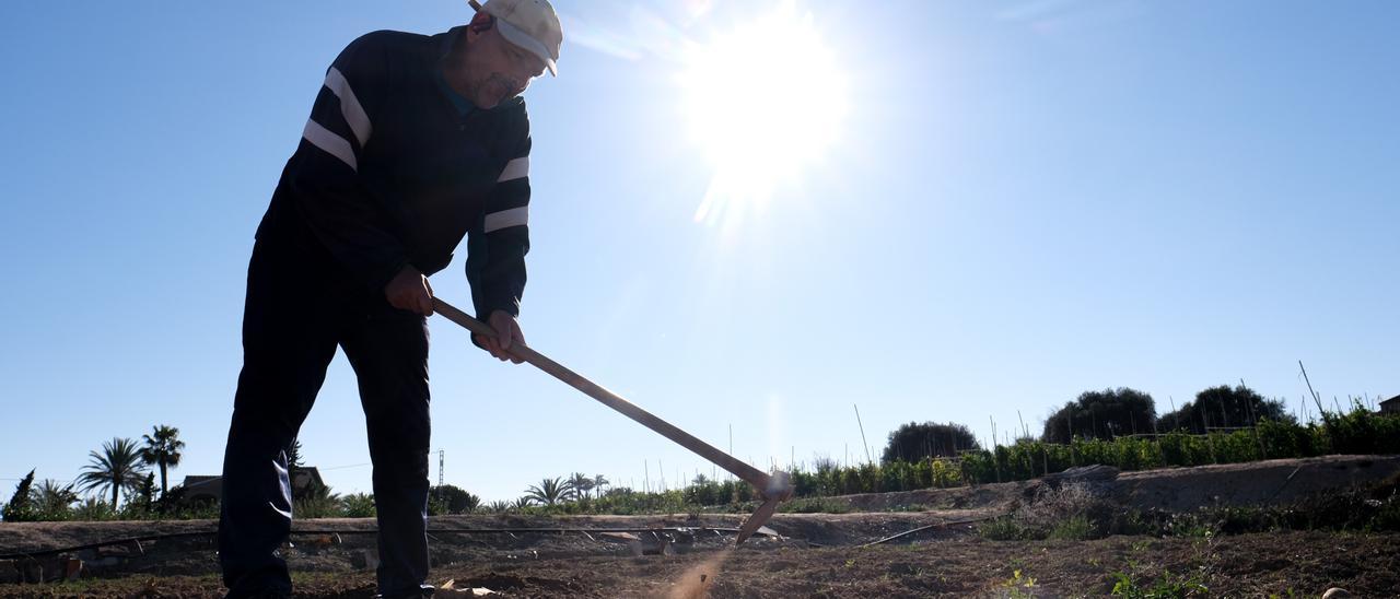 El recorte del trasvase al recortar en envío del agua del Tajo acabará, según la propia Confederación del Segura, con miles de empleos