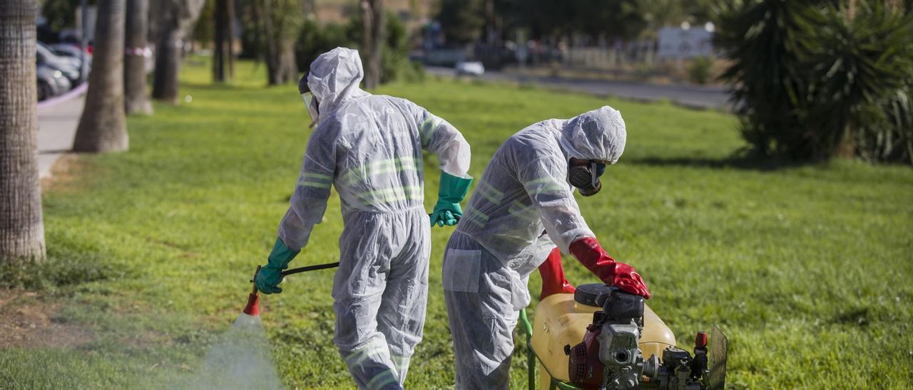 Fumigaciones contra los mosquitos en el sur de España.