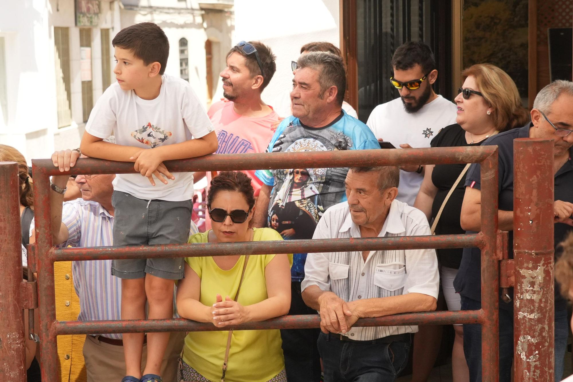 Las vaquillas de El Viso vuelven a correr las calles del pueblo