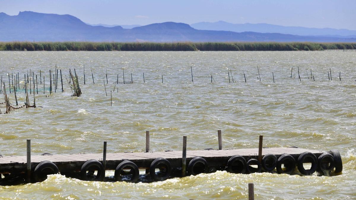 Foto de l'Albufera tomada el jueves, con el agua de tonalidad verdosa.