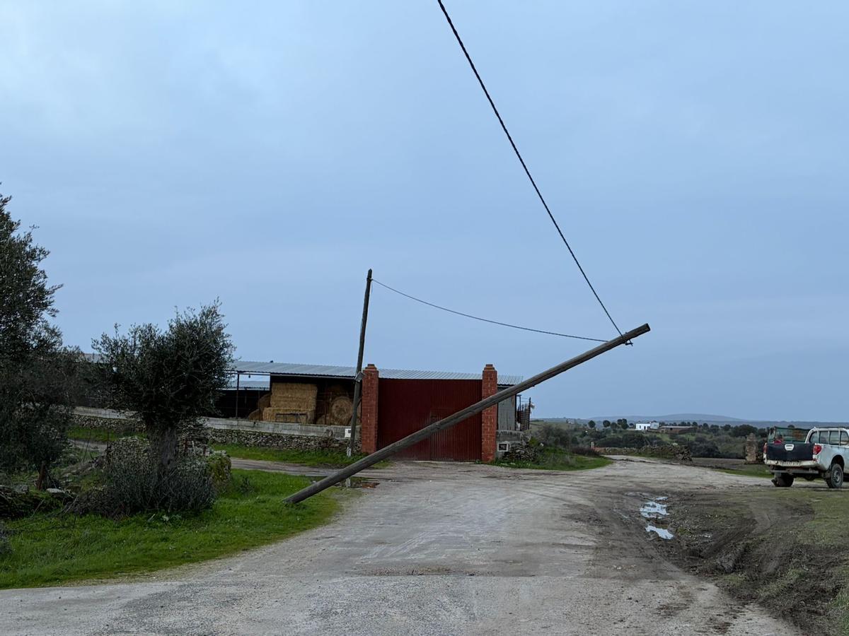 Fotogalería | Así ha afectado la borrasca Kristin en Garrovillas de Alconétar Fotogalería | Así ha afectado la borrasca Kristin en Garrovillas de Alconétar