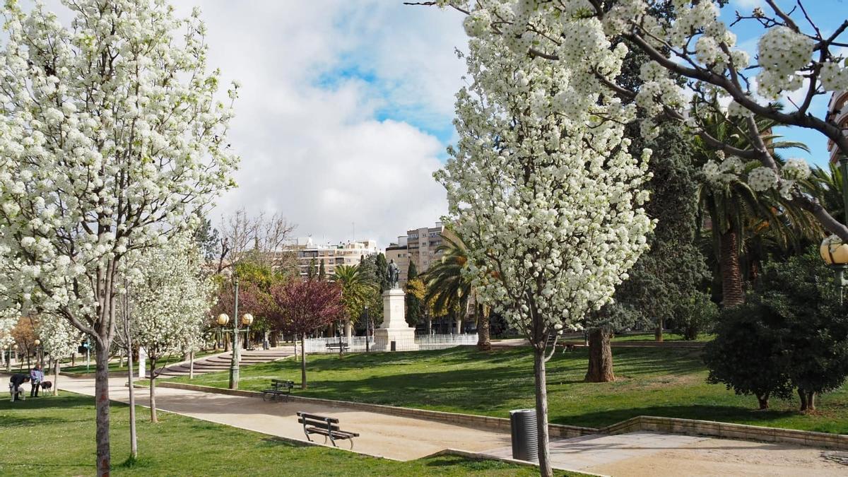 Uno de los parques de la ciudad de Zaragoza.