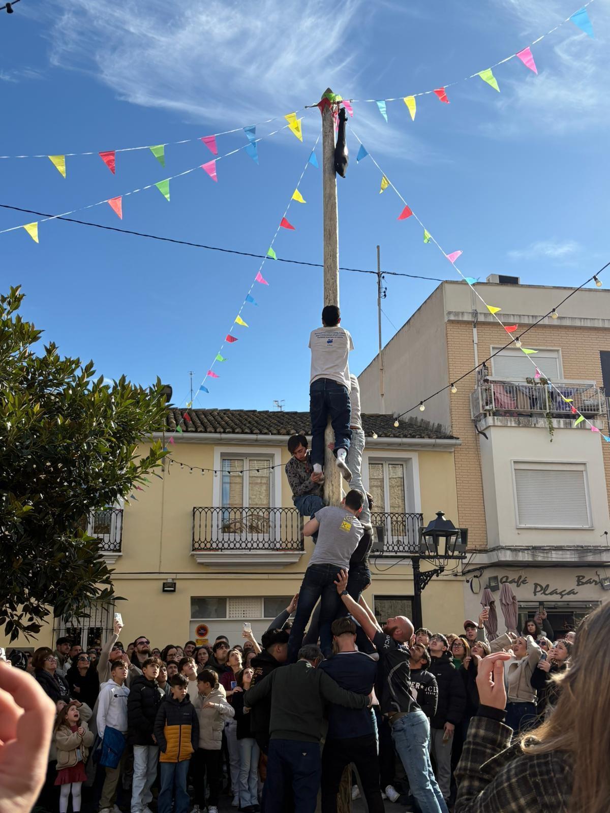 La Safor es vist de tradició amb la popular festa de Sant Antoni