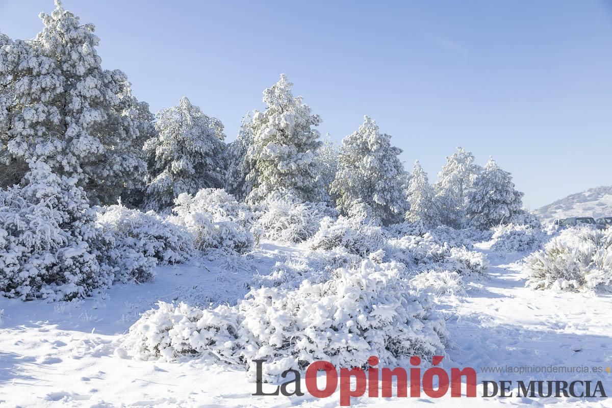 Descubre dónde queda acumulación de nieve en la Región de Murcia