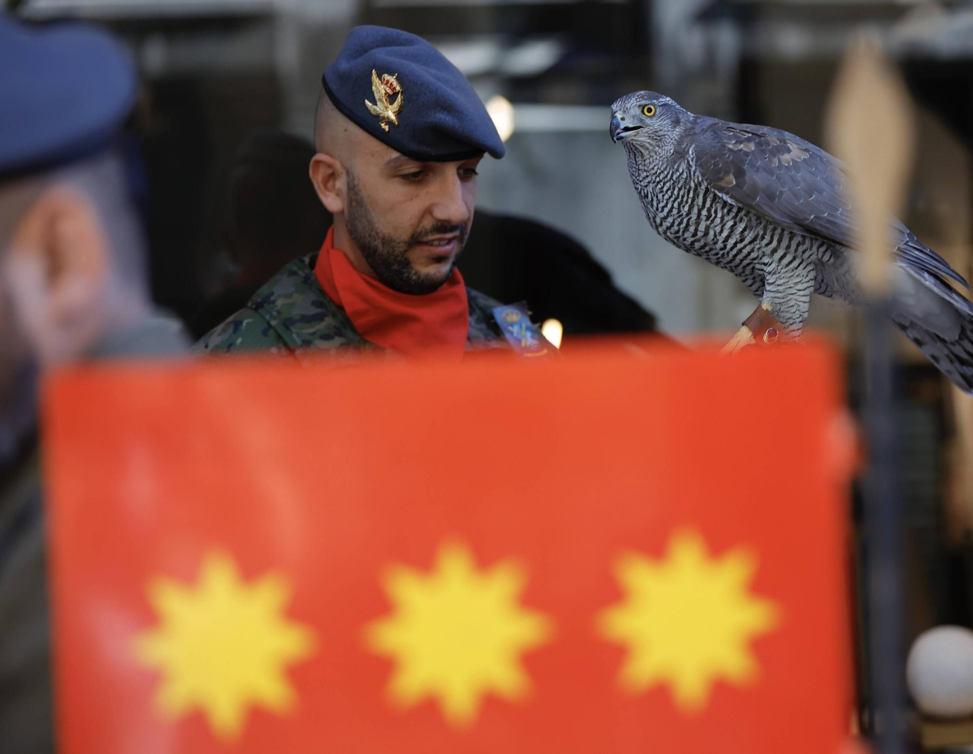 Parada militar en Oviedo para homenajear al Cabo Noval