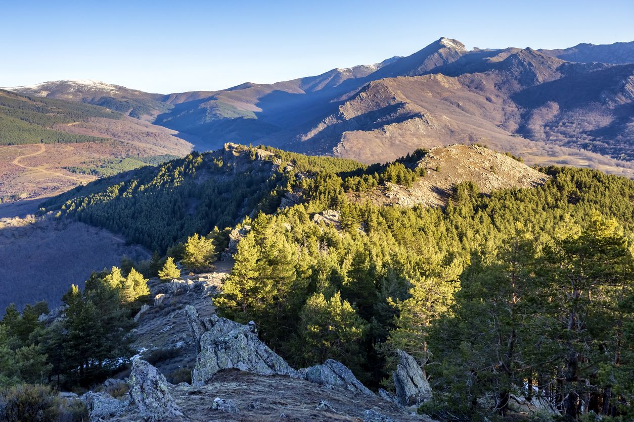 Vistas de la sierra de Ayllón