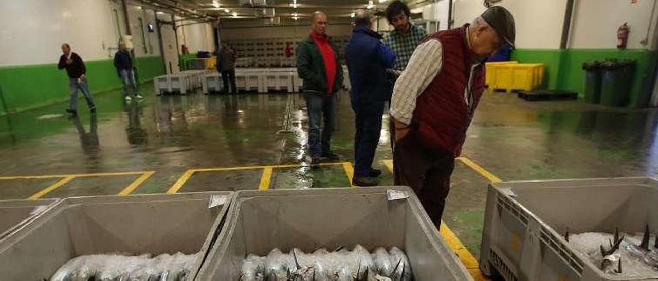 Cajas de bonito en la rula de Avilés.